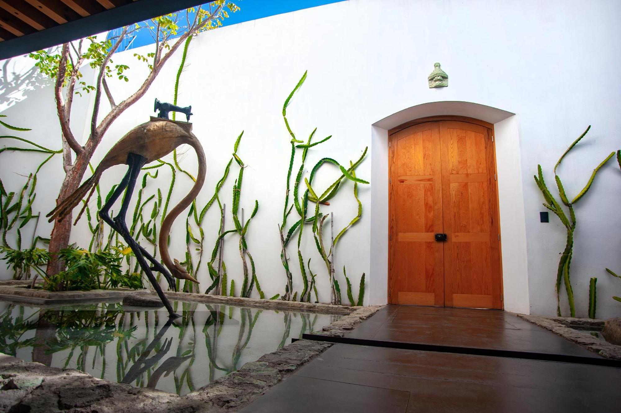 Hotel Casa Carmen Xolotl Oaxaca Zewnętrze zdjęcie